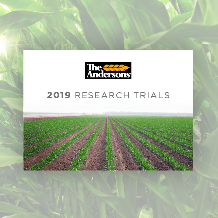 2019 Research Guide