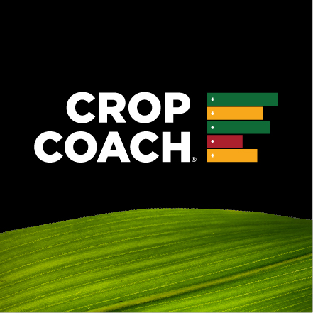 CropCoach Branding