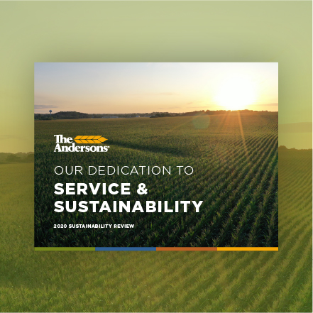 2020 Sustainability Review